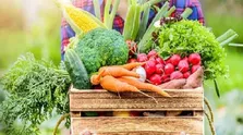 آیا عرق کردن منجر به کالری‌سوزی می‌شود؟